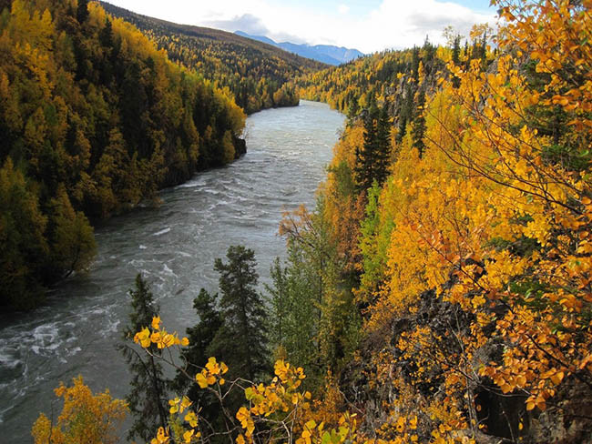  Sông Kenai, Alaska, Mỹ: Với chiều dài 132 km, cảnh quan nguyên sinh tươi đẹp kéo dài từ dãy núi Kenai qua công viên hoang dã Kenai, hồ Skilak, tới Đại Tây Dương. Sông có loài cá hồi lớn, thu hút những người mê câu cá, đặc biệt trong tháng 7 và tháng 8.