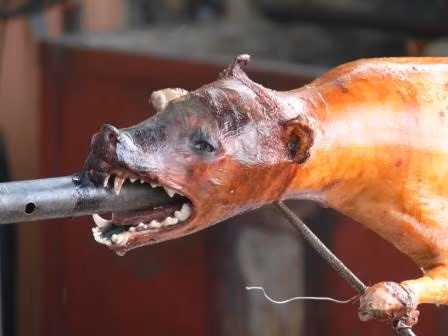 Nghe Tay ke chuyen an thit cho Viet Nam: Du moi cam xuc