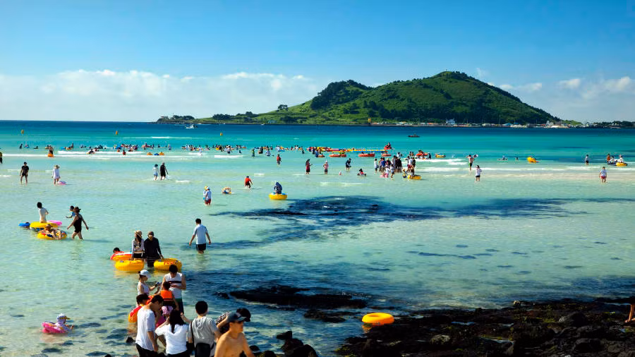 Mọi người hoàn toàn có thể thưởng thức những món ăn được chế biến từ hải sản, “lạc trôi” giữa những cánh đồng hoa, những khu vườn quýt vốn cũng là đặc sản của đảo hay thả hồn theo làn nước xanh trong ở hai bãi biển đẹp nhất trên đảo là Hyeopjae và Jungmun.