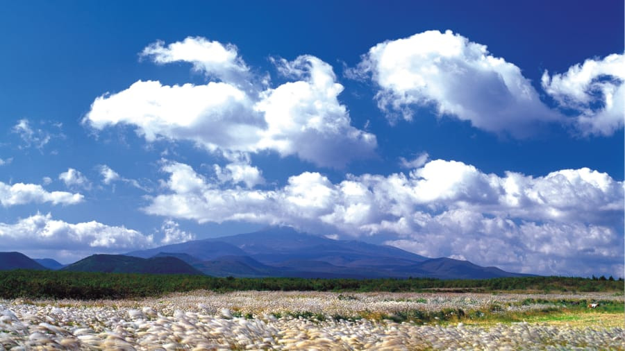 Thu đến như thay chiếc áo ngũ sắc tuyệt đẹp cho đất nước Hàn Quốc: sắc phong đỏ rực; màu vàng, cam của cỏ cây; xanh, trắng của mây trời, của núi non hùng vĩ. Chỉ cần nhìn qua màn ảnh thôi cũng đủ làm say đắm lòng người.