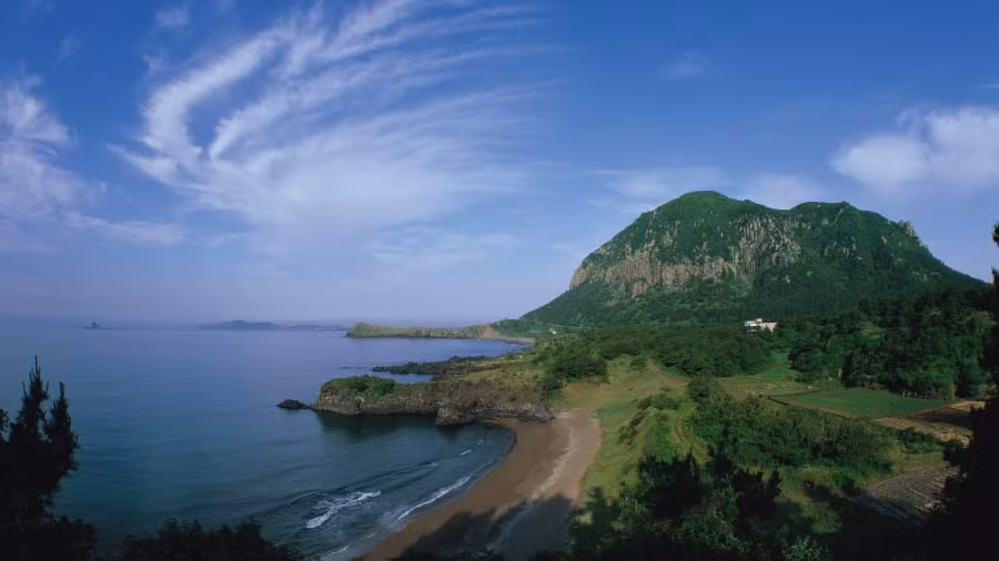 Vào mùa này, Jeju - hòn đảo lớn nhất Hàn Quốc, không khi nào vắng khách du lịch. Thậm chí, đây là một điểm đến lý tưởng dành cho các đôi vợ chồng mới cưới đến hưởng tuần trăng mật.