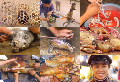 Tay máy người Mỹ Tristan Savatier đã đăng tải trên trang web cá nhân của mình một loạt ảnh về cảnh làm thịt chó ở Việt Nam, với lời cảnh báo rằng những hình ảnh này là ghê rợn và có thể gây sốc với người xem.