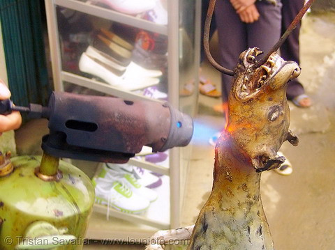 Chó thường được thui bằng rơm, nhưng cũng có khi là bằng máy như ở đây.