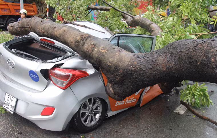 Tại hiện trường trường, chiếc xe ô tô bị đè bẹp, biến dạng, nhiều mảnh kính văng tung tóe.