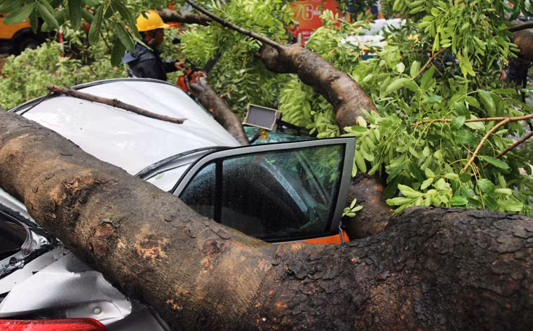 Nhiều người đi đường 1 phen kinh hoàng khi chứng kiến 2 người trong ô tô kẹt cứng vì bị thân cây cổ thụ to lớn đè bẹp.