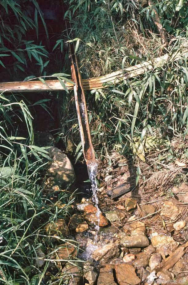 Ống dẫn nước suối bằng tre.