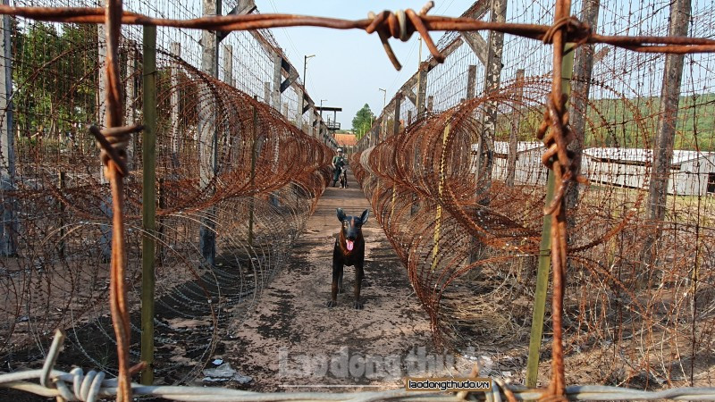 Để tránh việc các tù binh vượt ngục, chúng cho dựng các vòng thép gai xung quanh các nhà giam, cho chó và quân đội túc trực suốt ngày đêm. Đây thật sự là "chốn địa ngục trần gian" đối với các tù binh cộng sản.