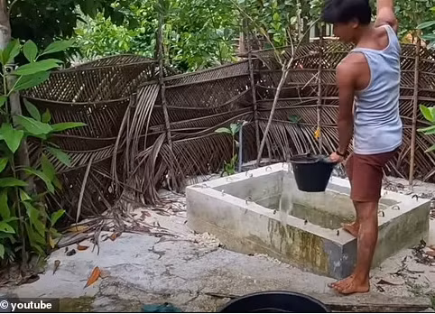 Kinh ngac cap doi song biet lap giua dao-Hinh-10