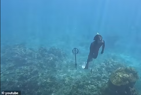 "Chúng tôi đi câu cá khoảng 2 lần một tuần. Do không có tủ lạnh, chúng tôi thường hun khói cá trong bếp Mentawai truyền thống của mình để cá có thể bảo quản được lâu hơn. Chúng tôi cũng nuôi gà để lấy trứng", Marjolein cho hay.