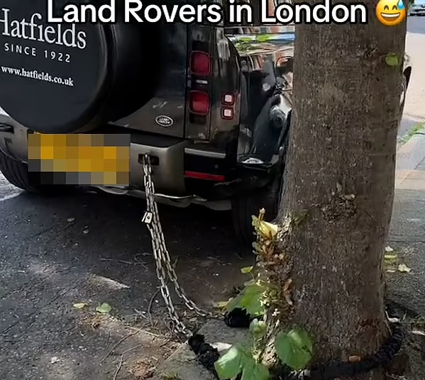 Chu xe xich o to vao cay de...chong trom