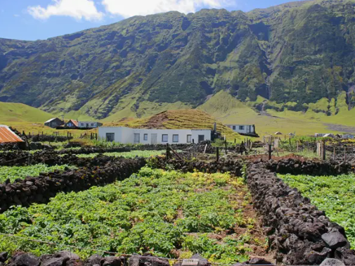 Người dân ở vùng nông thôn Edinburgh of the Seven Seas sống chủ yếu bằng nghề trồng trọt khoai tây trên mảnh đất cách thị trấn khoảng gần 2 km.