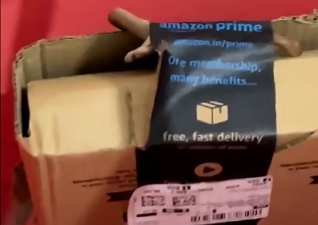 Hai hung thay ran doc “tang kem” trong goi hang dat mua