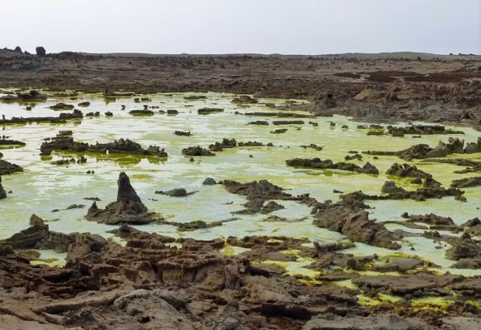 Nước ở suối nước nóng Dallol có thể sôi tới 100 độ C.