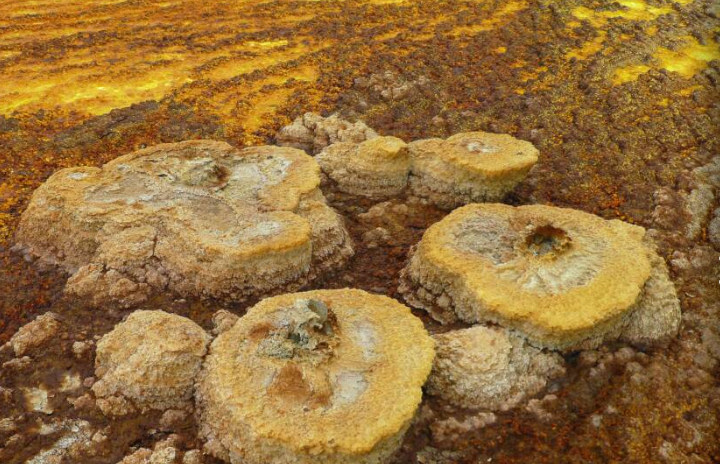 Người Afar từ lâu đã thu hoạch muối trong vùng. 