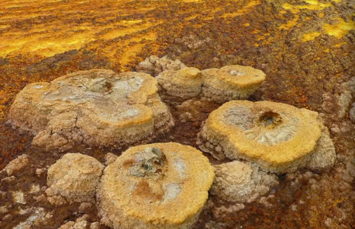 Người Afar từ lâu đã thu hoạch muối trong vùng. 