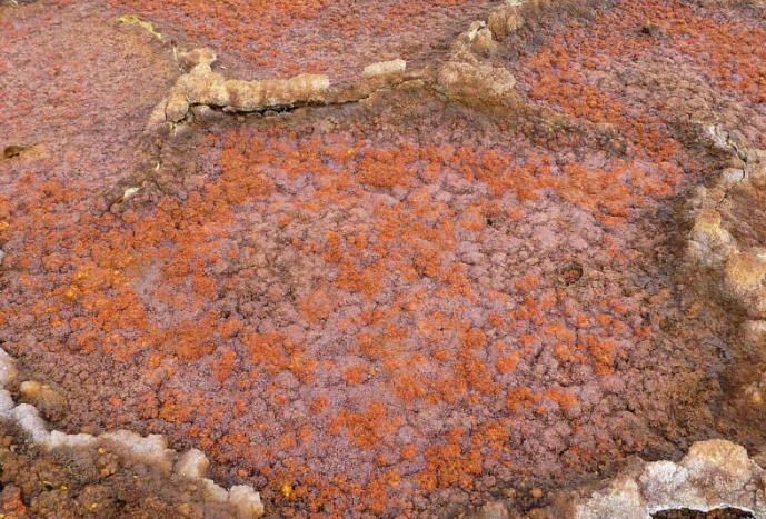 Khung cảnh ấn tượng ở Dallol.