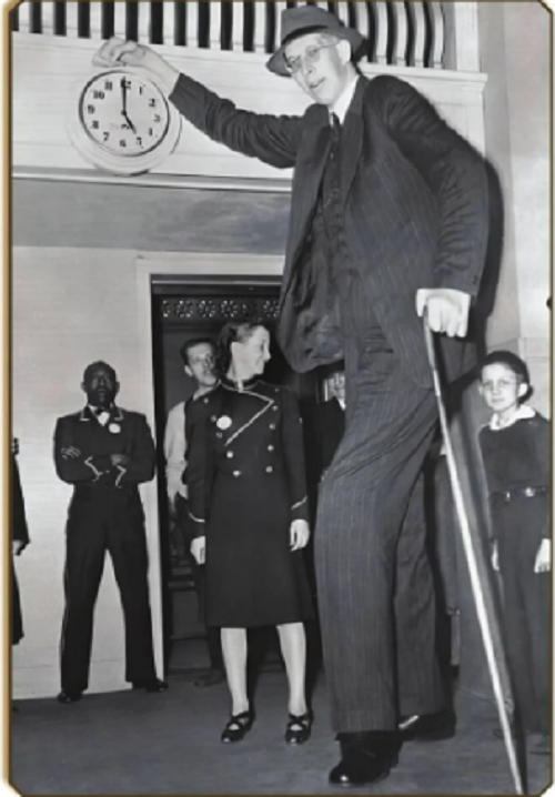 1. Robert Wadlow: Người đàn ông cao nhất từng được ghi nhận là Robert Wadlow, một “người khổng lồ hiền lành” đến từ Alton, Illinois (Mỹ). Tuy nhiên, anh qua đời vào năm 1940, khi mới 22 tuổi. (Nguồn ảnh: ATI)