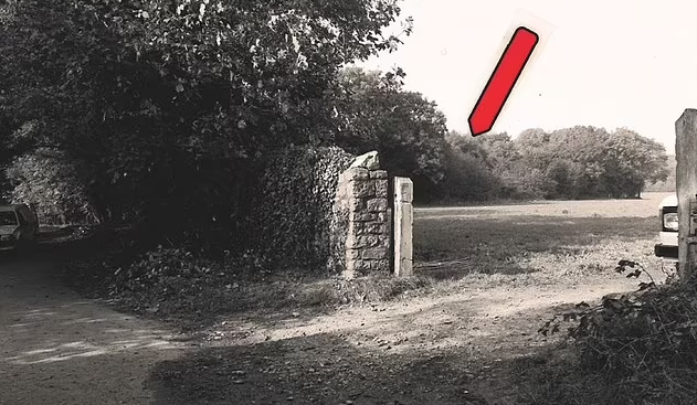 Bi an chua loi giai an mang trong rung 40 nam truoc-Hinh-2