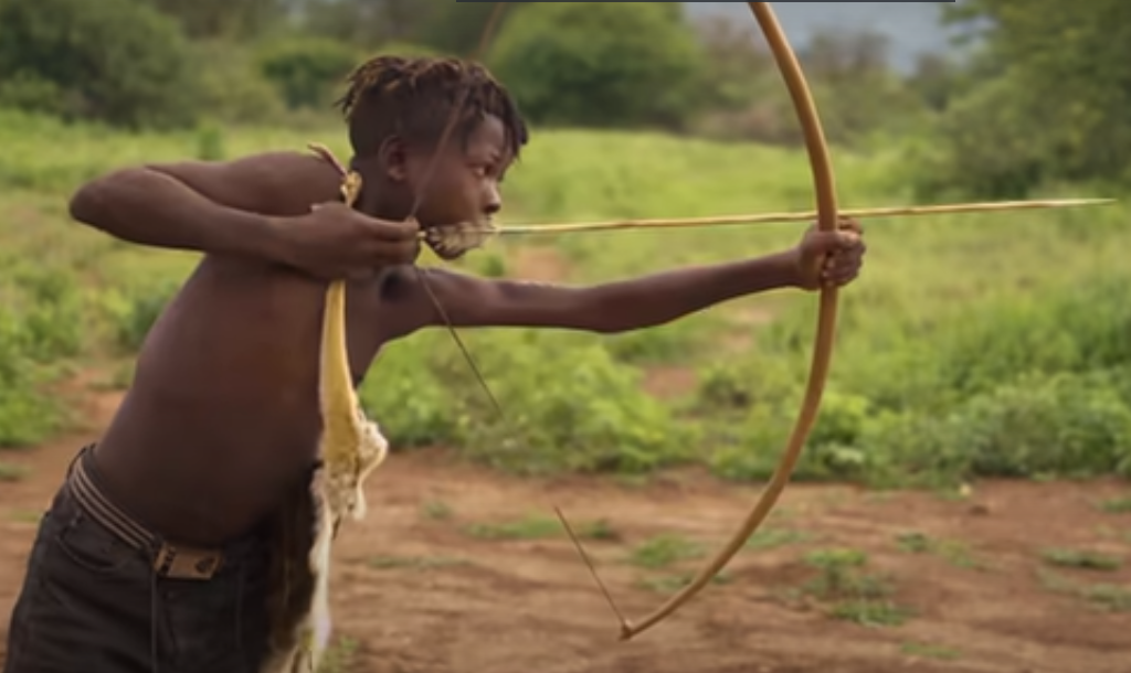 Một số loài vật họ thường săn đó là sóc hay những động vật thuộc bộ đa man.