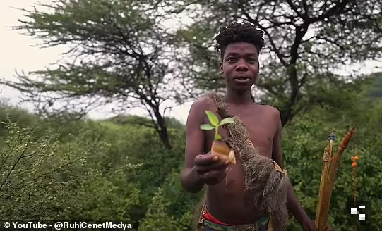 Khi đi săn, người Hadza thức dậy rất sớm vào buổi sáng và mang theo khoảng 10 con chó săn cùng một số vật dụng như dao và mũi tên, một số có tẩm chất độc.