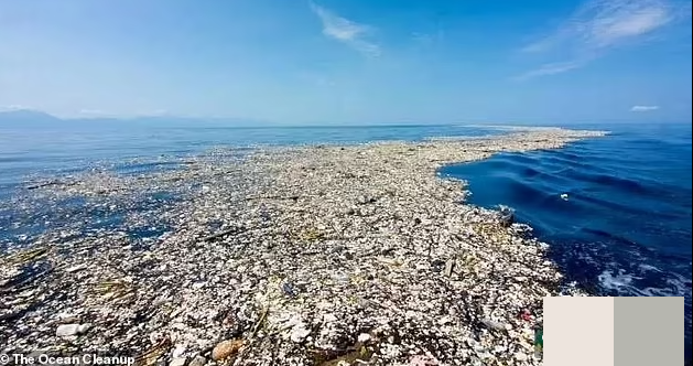 Hinh anh hai hung ve bai rac lon nhat the gioi