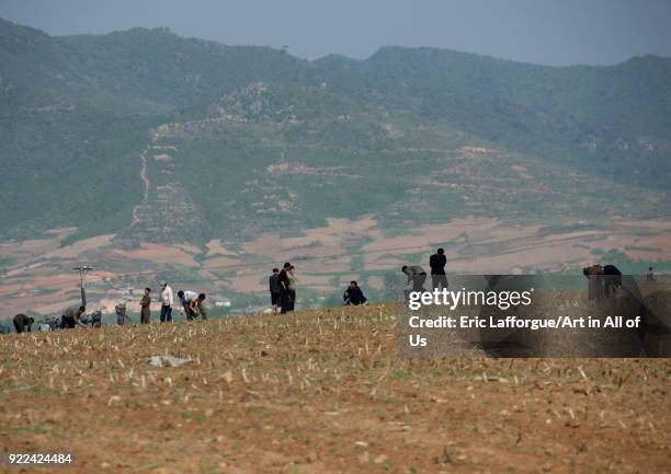 Mọi người cùng nhau làm việc trên cánh đồng ở tỉnh Pyongan. Ảnh chụp ngày 18/5/2009. Ảnh: Getty.