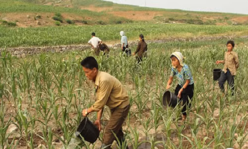 Kinh ngac canh binh di ve cuoc song o thon que Trieu Tien-Hinh-3