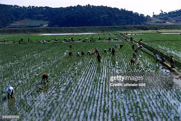 Kinh ngac canh binh di ve cuoc song o thon que Trieu Tien-Hinh-7