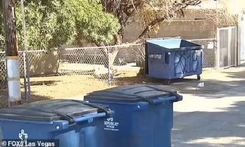 Thi the be 2 tuoi trong thung rac to toi ac cua nguoi me