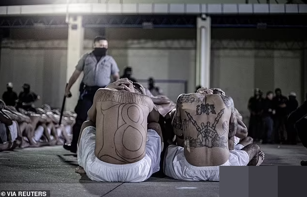 Hàng nghìn thành viên các băng đảng bị giam giữ trong những phòng giam chật chội và bị lính canh che mặt giám sát cả ngày.