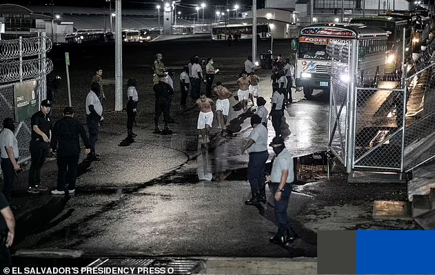 Nhiều tù nhân mới đã được đưa vào cơ sở giam giữ này gần đây bằng xe buýt với hai tay bị còng sau lưng.