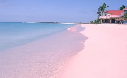 5. Barbuda nằm giữa biển Caribe và Đại Tây Dương. Bờ phía tây của Barbuda là một bãi biển trải dài liên tục thỉnh thoảng có những dải cát màu hồng tuyệt đẹp.