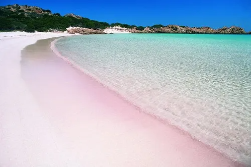 9. Spiaggia Rosa ở Budelli, Sardinia – Ý: Đảo Budelli của Ý nằm trong quần đảo Maddalena ở phía bắc Sardinia. Bãi biển nổi tiếng nhất ở đây là Spiaggia Rosa - một trong những bãi biển màu hồng đẹp nhất thế giới.