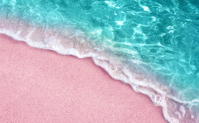 1. Harbour Island: Harbour Island ở Bahamas là một trong những bãi biển nổi tiếng được bao phủ bởi cát có màu hồng tuyệt đẹp. Đây là địa điểm lý tưởng để bơi lặn và tắm nắng. (Nguồn: Wonders List)