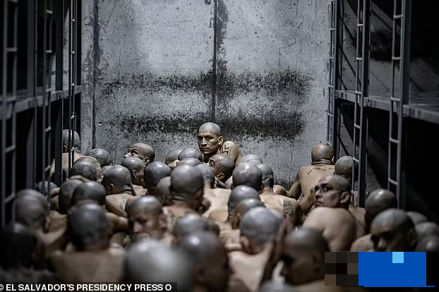 Hơn 2.000 thành viên băng đảng bị giam giữ tại các nhà tù khác nhau trong nước đã được chuyển đến CECOT.