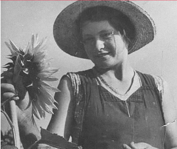 Người phụ nữ ngắm nhìn hoa hướng dương.