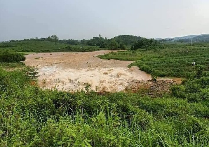 Hiện, tỉnh Phú Thọ đã tập trung mọi nguồn lực, tiếp tục di dời các hộ dân hạ lưu ra khỏi vùng nguy hiểm và huy động nhân lực bảo đảm tài sản và thu hoạch hoa màu cho nhân dân. Được biết, đập Đầm Thìn được xây dựng năm 2008 và hoàn thành đưa vào sử dụng năm 2010. Đập có diện tích hơn 15 ha mặt nước, phục vụ nước tưới cho 128 ha vụ chiêm và 72 ha vụ mùa. 