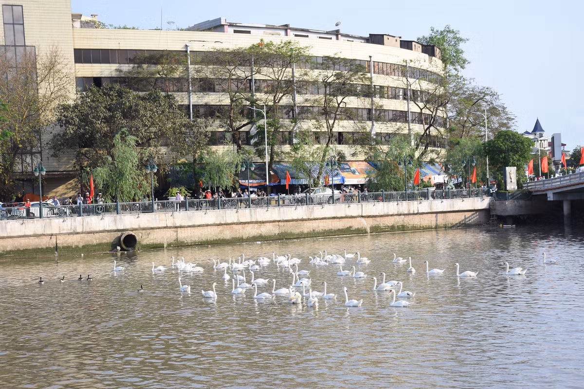 Thu hút đông đảo sự quan tâm của người dân Hải Phòng.