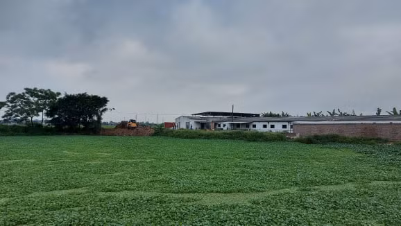 Liên quan vụ 72 tấn nội tạng động vật không rõ nguồn gốc, Cục QLTT tỉnh Hải Dương đã ra quyết định xử phạt hành chính số tiền 39 triệu đồng đối với Nguyễn Duy Huy (SN 1975, ở xã Bình Xuyên, huyện Bình Giang, tỉnh Hải Dương (chủ lô nội tạng) về các hành vi vi phạm hành chính theo quy định tại các Nghị định 50/2016/NĐ-CP và 124/2015/NĐ-CP của Chính phủ, như: không đăng ký thành lập hộ kinh doanh và kinh doanh hàng hóa không rõ nguồn gốc xuất xứ.