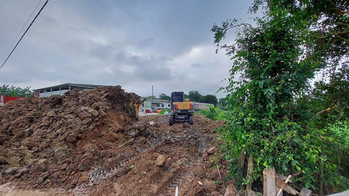 Rồi lấp đất để tiêu hủy.