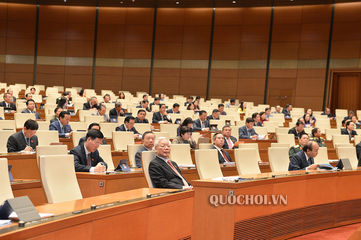 Chu tich Quoc hoi: Ky hop dac biet, dong luc de dat nuoc vuot qua kho khan-Hinh-2