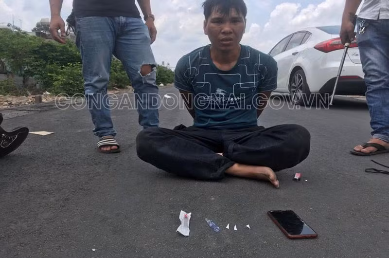 Ngoài 2 vụ việc trên, từ đầu năm 2020 đến nay, tội phạm hình sự trên địa bàn được kiềm chế, kéo giảm mạnh so với cùng kỳ năm 2019 (giảm 12%).Tỷ lệ điều tra các vụ vi phạm pháp luật về trật tự xã hội đạt 86,6%. Công an tỉnh Đồng Nai liên tiếp triệt phá hàng chục băng, ổ, nhóm với hàng trăm đối tượng phạm tội, đặc biệt đã triệt phá nhiều băng, ổ nhóm hoạt động tín dụng đen. 