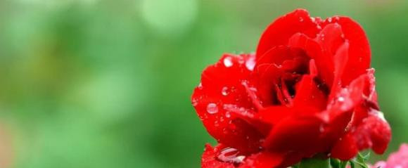 Nguoi sinh vao nhung ngay am lich nay phuc khi sanh ngang de vuong