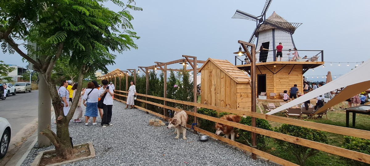 Ngoài ra, còn có những bạn thú cưng khá thân thiện, là nhân vật chính trong nhiều bức ảnh "cực chất".