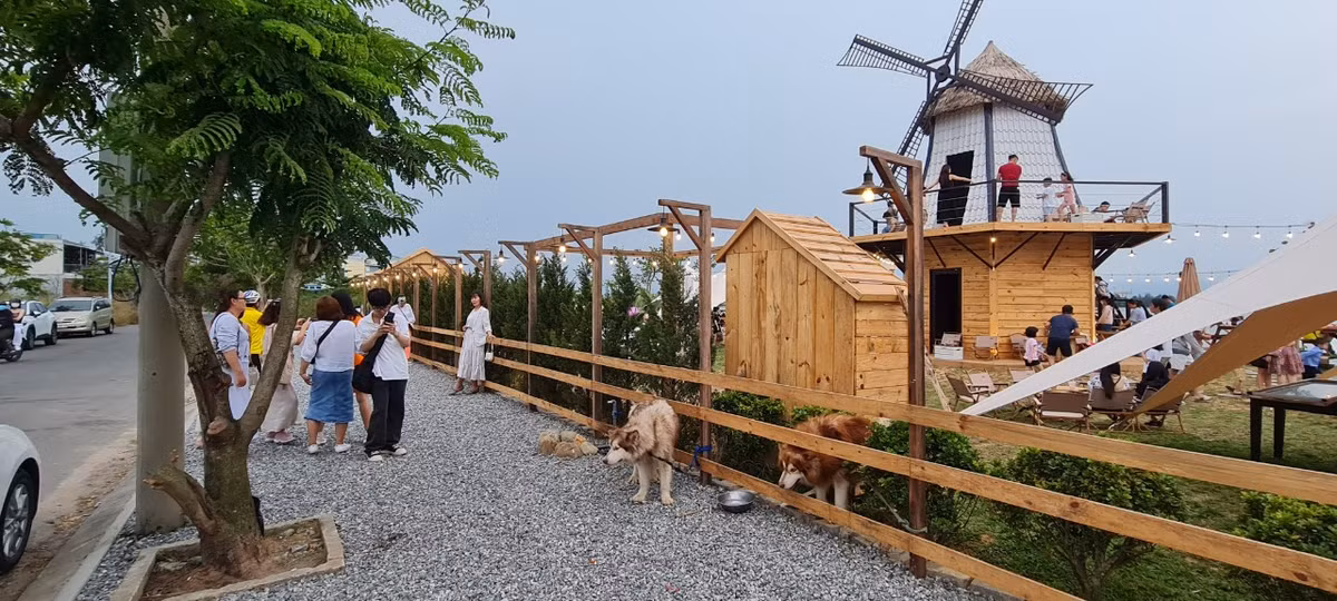 Ngoài ra, còn có những bạn thú cưng khá thân thiện, là nhân vật chính trong nhiều bức ảnh "cực chất".