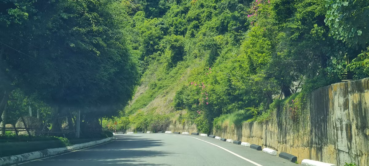 Những con đường nên thơ chạy vòng quanh bán đảo Sơn Trà, hớp hồn biết bao du khách.