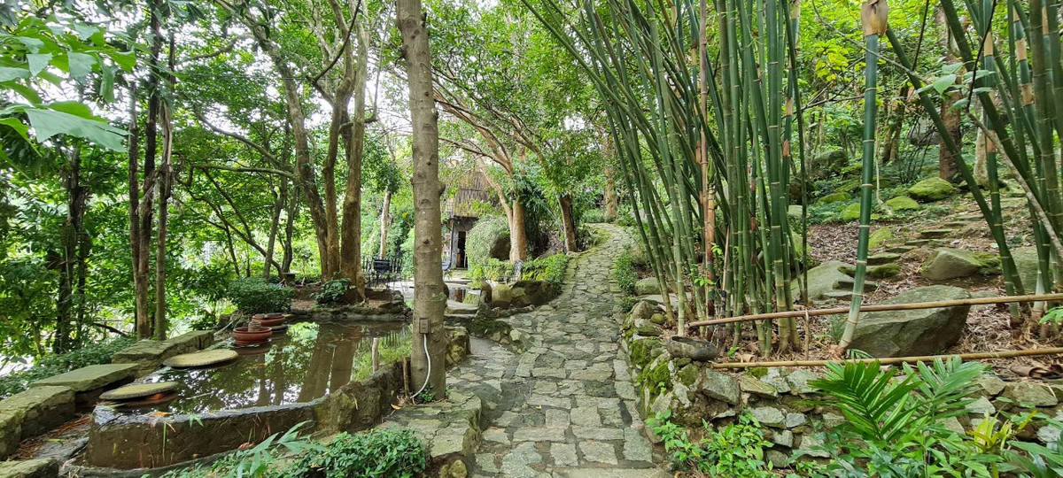 Bên kia triền núi là một bảo tàng có một không hai, nằm yên bình dưới những tán cây xanh mướt, không gian rừng núi hoang sơ, gió thổi rì rào.