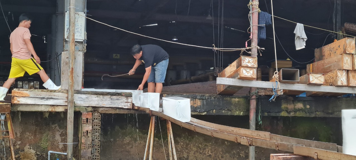 Công nhân đang tất bật với các công đoạn sản xuất đá cây.