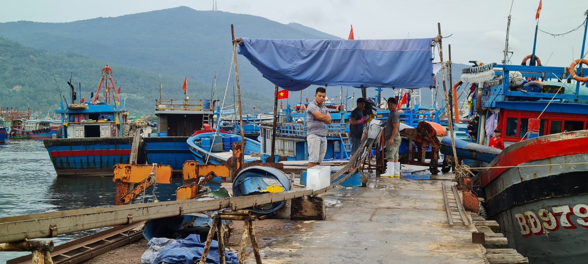 Đầu kia của băng chuyền cũng có một nhóm công nhân đang chờ sẵn.