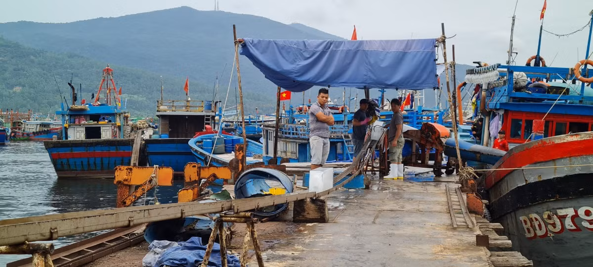 Đầu kia của băng chuyền cũng có một nhóm công nhân đang chờ sẵn.